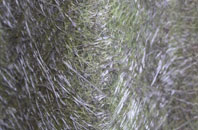 Blacksmiths Green fibreglass roof work